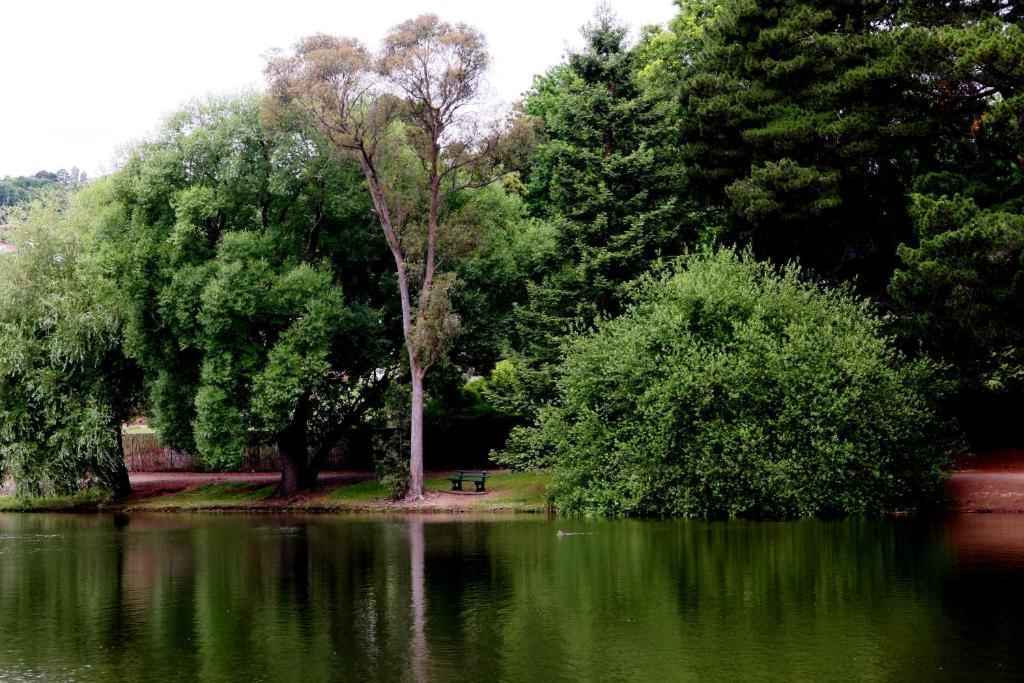 Central Springs Inn Daylesford Dış mekan fotoğraf